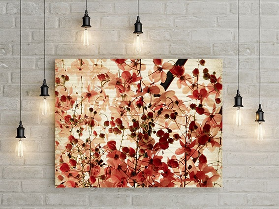 c-copy-canvas